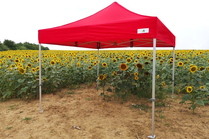 3x4,5m škarasti šatori